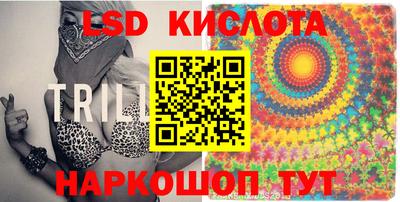 стаф Котовск
