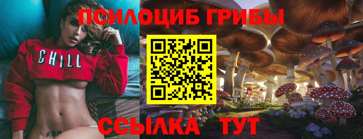 Владимир  Галлюциногенные грибы Psilocybe  Вход с VPN 