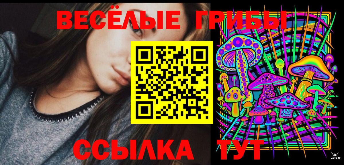 Галлюциногенные грибы ЛСД Владимир